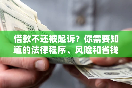 济南借款不还被起诉？你需要知道的法律程序、风险和省钱技巧